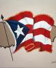 Puerto Rico Votes to Become 51st US State