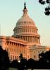 Congress Approval Rating Drops To Dismal Five Percent In Poll 
