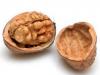 Eating Nuts May Prolong Life, New Study Shows