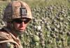 U.S. Drug War in Afghanistan Not Going Well 