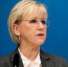 Sweden Facing 'Collapse' Due to Migrant Influx, Foreign Minister Warns