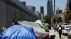 Homeless Crisis in Los Angeles Worsens