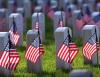 A Nation That Doesn’t Know War: America Celebrates Memorial Day
