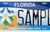 Floridians Can Now ‘Stand With Israel’ on Their License Plates