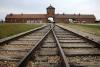Bizarre Extermination Tales From Auschwitz 
