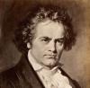 Beethoven: A Life in Nine Pieces   