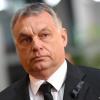EU to Orban: Back Gay Rights or Get Out!