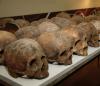 Mexico `Crime Scene’ Skulls Turn Out to be From A.D. 900