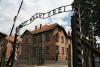 Tell-Tale Documents and Photos from Auschwitz