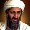 Bin Laden’s Antisemitic ‘Letter to America’ Goes Viral on TikTok Amid Israel-Hamas War