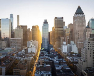 Wild, Wonderful New York